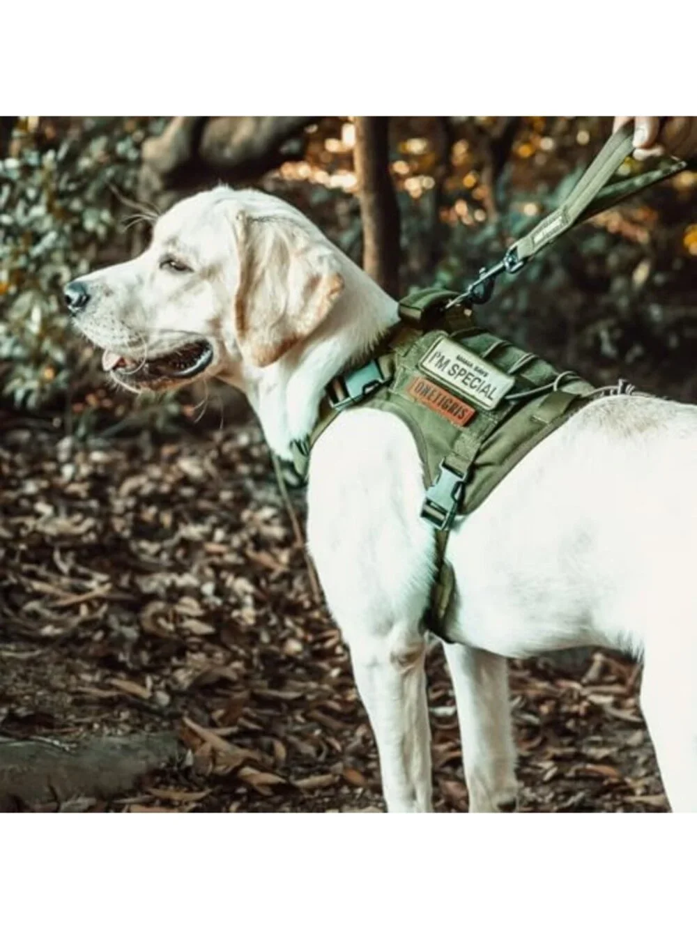 Tactical No-Pull Dog Harness - Breathable Vest for Small Dogs, Adjustable Fit